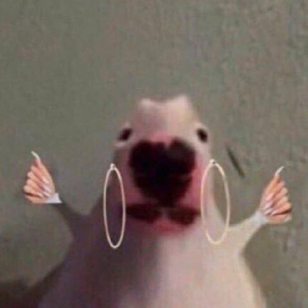 Meet your Posher, Audree